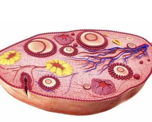 新手妈妈第一次怀孕,重庆生孩子如何建档,这篇实操攻略请收下