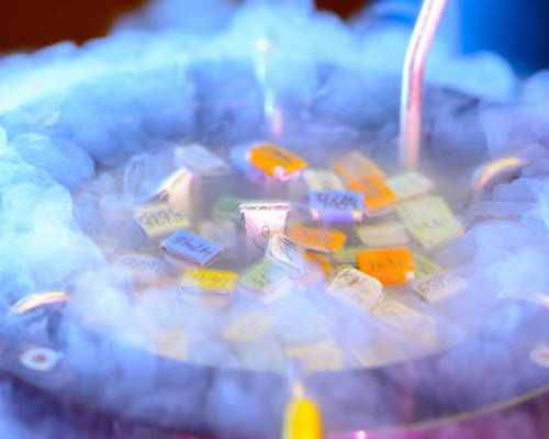 泰国试管婴儿取卵是否会痛?全面解析无痛与无麻醉取卵的区别