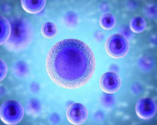 重庆试管代孕指南：了解北京朝阳医院供卵试管费用及流程