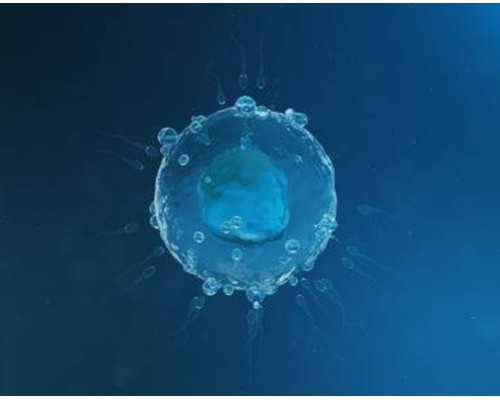 重庆助孕费用揭秘：试管助孕机构排名与流程详解