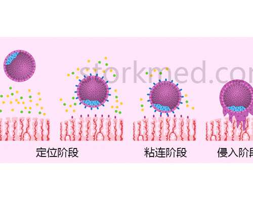 2026年重庆三代供卵试管助孕：生男孩单周期8万元费用明细与流程解析