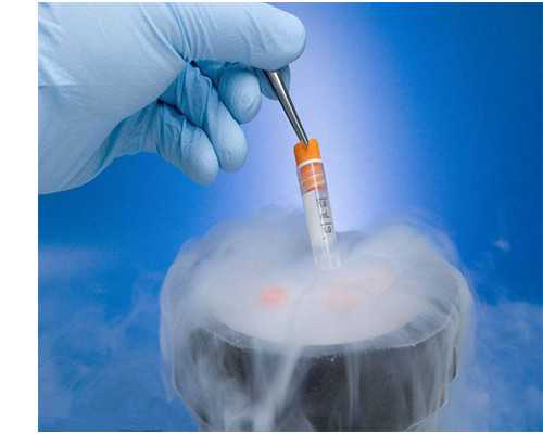 重庆生育政策新动向:三孩生育资助草案引热议,辅助生殖技术获关注