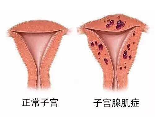 重庆2026代怀套餐深度解析:试管助孕机构排名及费用详解