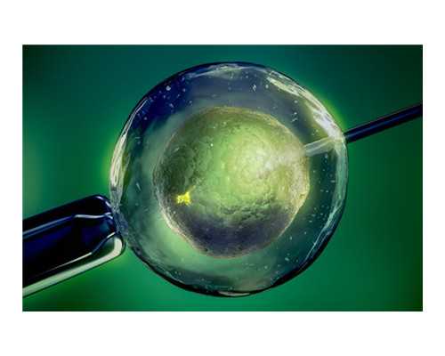 重庆哪里有供卵的医院,2026重庆医院捐精一次最多补偿多少钱？