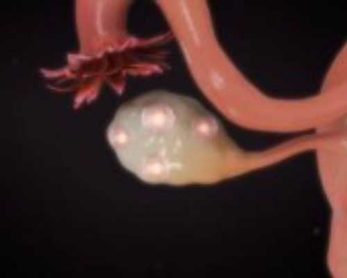 重庆试管助孕：2026年费用预估与成功经验分享