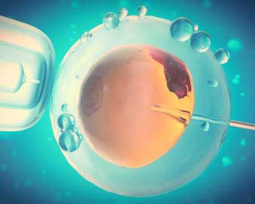 重庆供卵试管医院盘点：重庆妇幼能否提供辅助生殖服务？