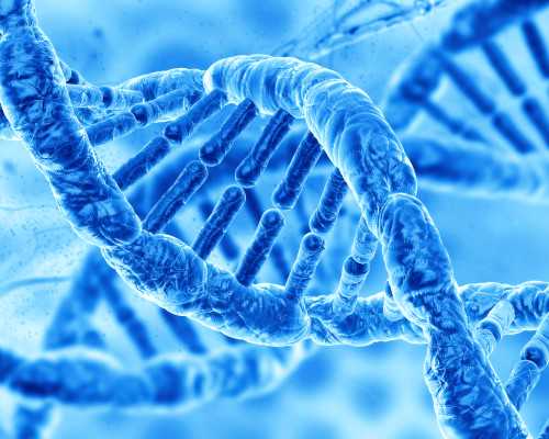 宫腔镜技术传承，夏恩兰教授助力河南患者