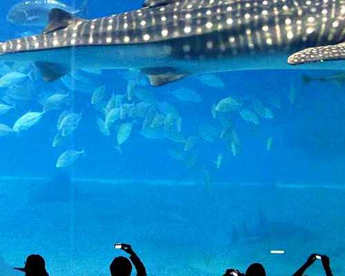 医疗机构科普影响力榜单揭晓，我院荣登前三