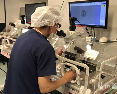 优选辅助生殖技术：重庆公立试管医院深度解析