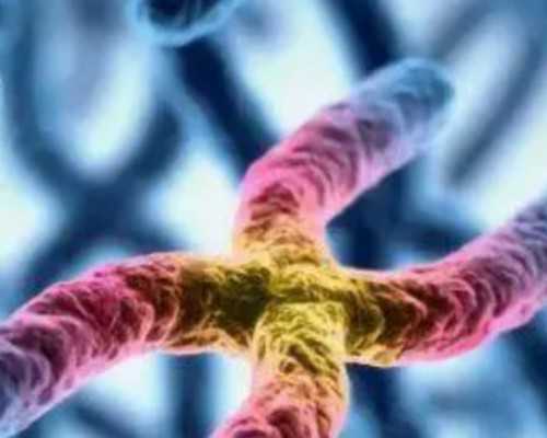 重庆专业代孕哪家好,深圳试管费用,北京助孕家庭生育难题-移植成功的姐妹移植