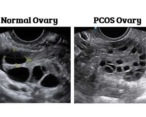 河南省医疗机构的崛起与人才争夺战