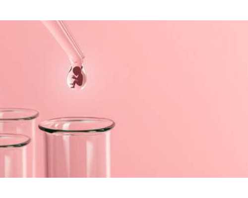 重庆代怀孕包成功,试管婴儿双胞胎是龙凤胎吗 -试管婴儿胚胎移植不成功的症状