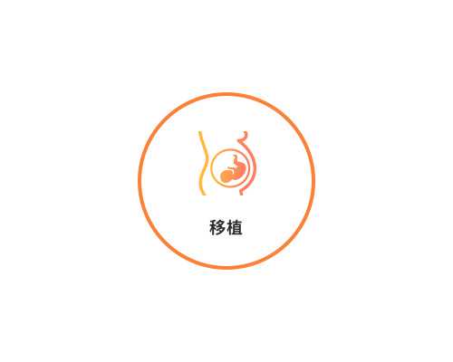 助孕机构排名解析:探寻高成功率背后的秘密