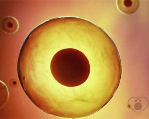 深入解析上海国妇婴三代试管费用与成功率