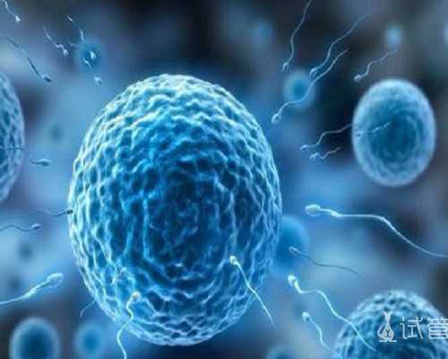 国内辅助生殖技术：试管婴儿医院及成功率解析