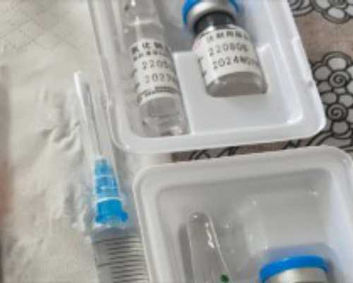 试管婴儿技术：选择与成功率的考量