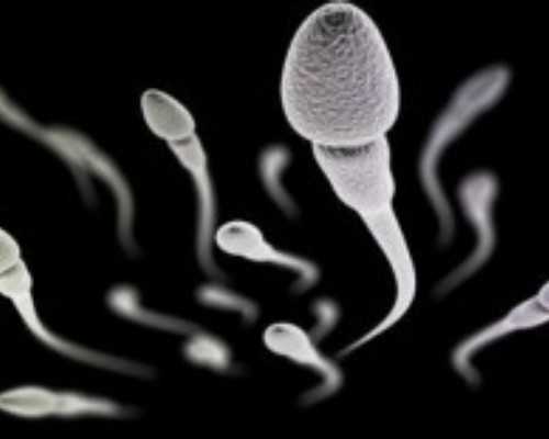 重庆怎么找代孕公司呢,【助孕优生】重庆同性试管婴儿可以做吗-试管移植后为