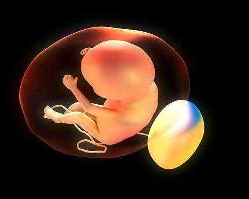 重庆解析：子宫腺肌症能否进行美国试管婴儿？详细影响与助孕方案