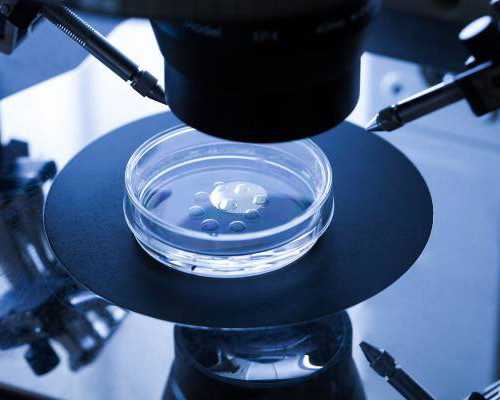 2026年第三代试管助孕价格明细,助您实现生育梦想