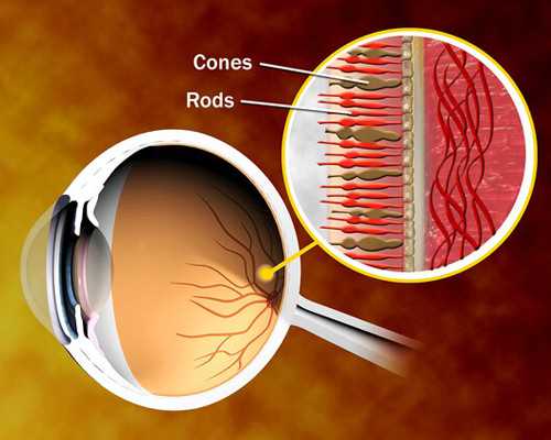 重庆代怀最靠谱,赴泰做试管婴儿的取卵流程是怎么样？了解以下6个问题_人体免