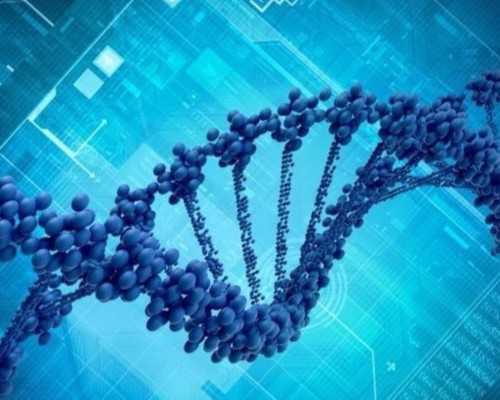 重庆试管代怀男孩,天津输卵管切除了能做试管婴儿吗_正规助孕公司-重庆第三代