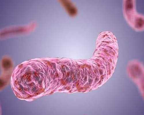 重庆精子库的精子质量与代生助孕的考量