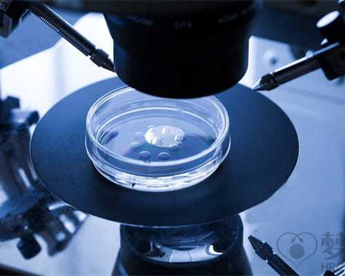 探索重庆精子库:捐精流程、补助及辅助生殖技术前沿