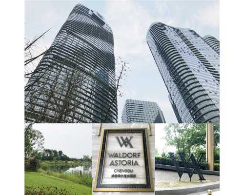 初次试管婴儿的费用考量与成功率指南