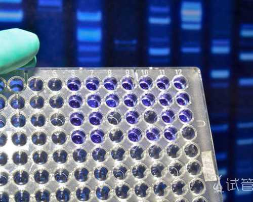 重庆试管婴儿费用全解析:医院收费标准及整体预算指南