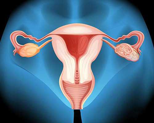 晋冀动车票价调整 探寻渝西出行新选择