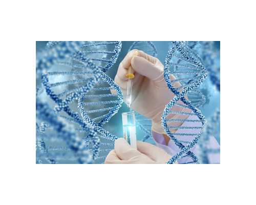 2026年重庆供卵助孕费用揭秘:详细解读与预估