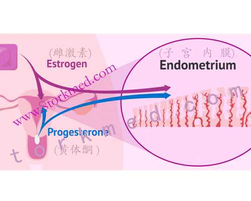 重庆辅助生殖费用解析：2026年精子库与助孕价格指南