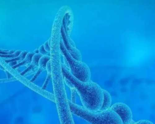 重庆助孕机构推荐:2026年供卵试管医院选择指南