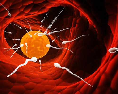 辅助生殖技术:借卵生子条件与费用揭秘