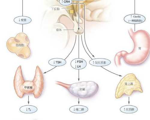 探寻婚姻礼金：中国部分地区彩礼习俗解读